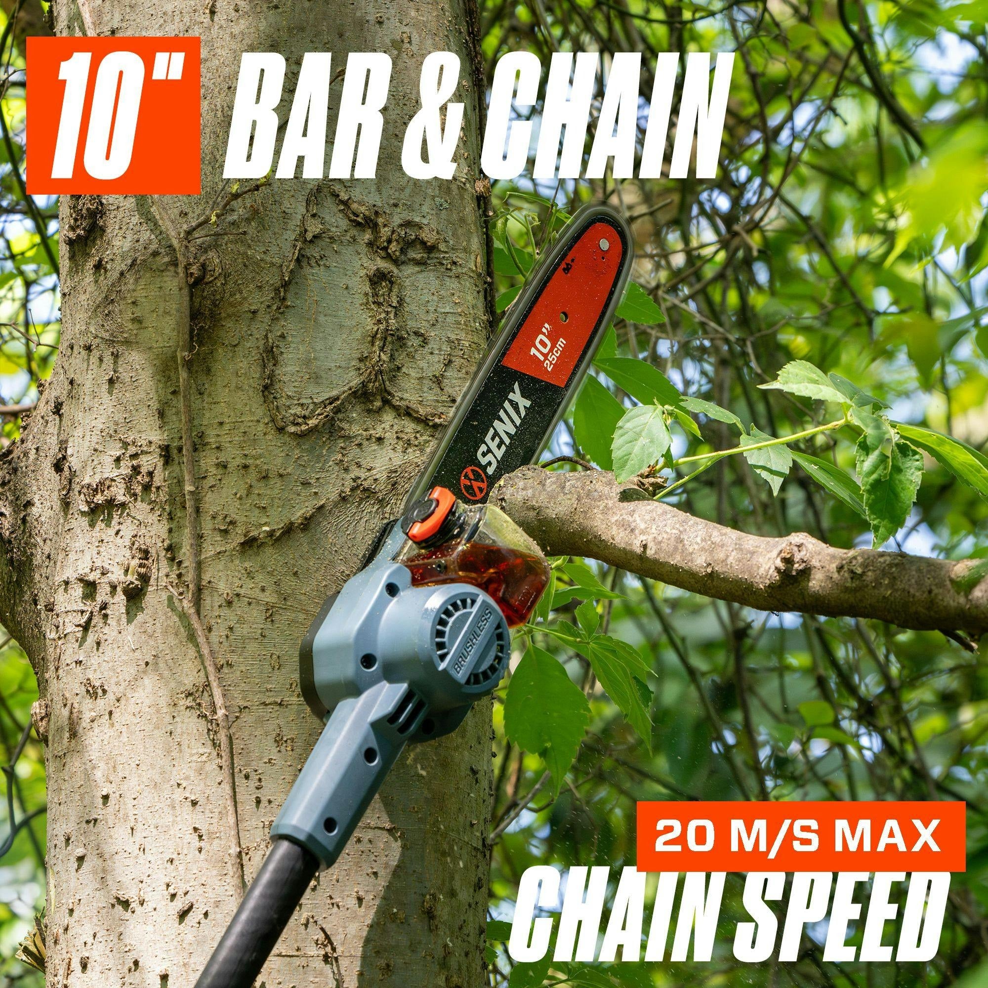 10-Inch Bar and Chain