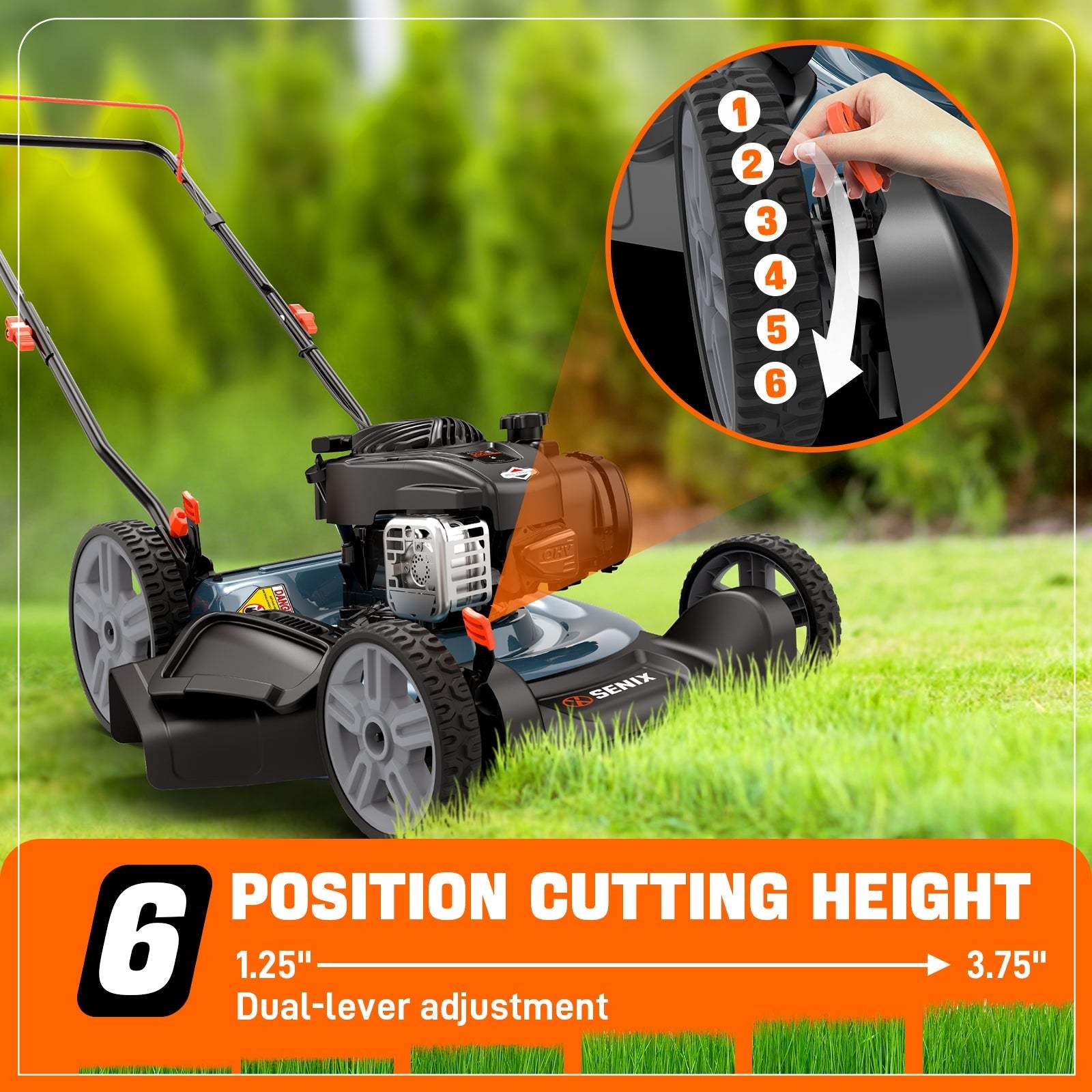 6-Position Height Adjustment
