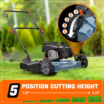 SENIX 20" 125cc 4-Cycle Briggs & Stratton Engine Gas Push Lawn Mower w | Lawn Mowers | SENIX Tools