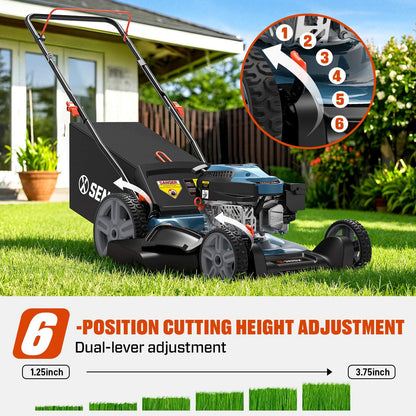 21'' 144 cc Gas-Powered 4-Stroke Engine Push Lawn Mower, 3-in-1 Design, Steel Deck, 6-Level 1.25''-3.75'' Cutting Height, with 1.7 Bushels Grass Bag LSPG-M14
