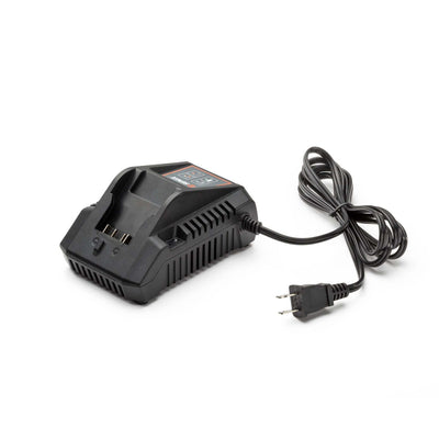X2 20V Max* 2 Amp Charger, CHX2